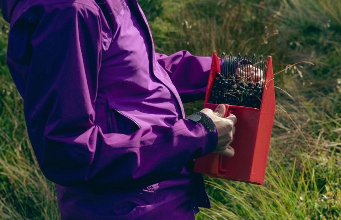 Hallitus aikoo muuttaa oleskelulupien käsittelyä työvoiman hyväksikäytön tarkistamiseksi. 1