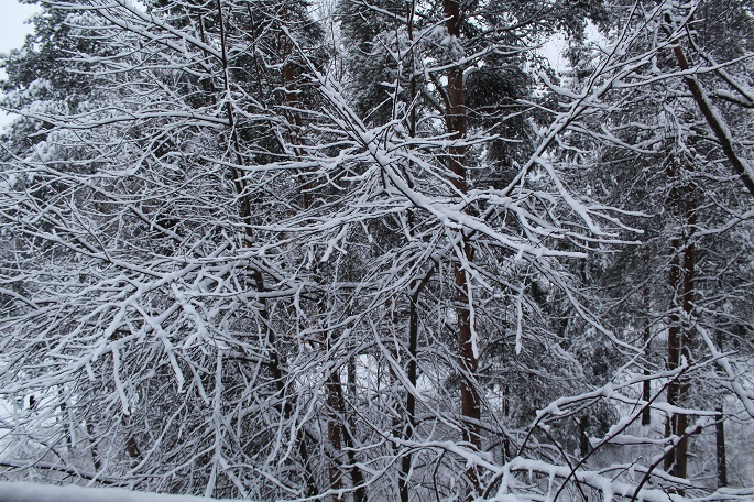 WMO ennustaa heikkoa La Niña -ilmiötä tulevina kuukausina.0
