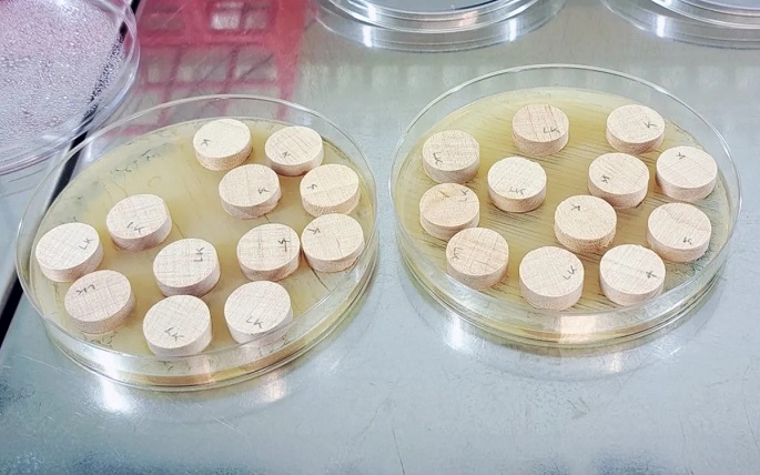 Puun pintakäsittely voi estää haitallisten bakteerien leviämistä. 1