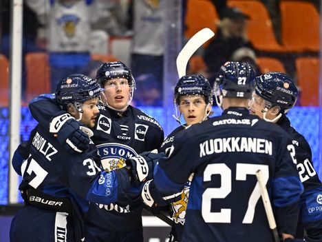 Antti Pennanen kertoi Leijonista: Kölnistä ei saavu yhtään pelaajaa. 3