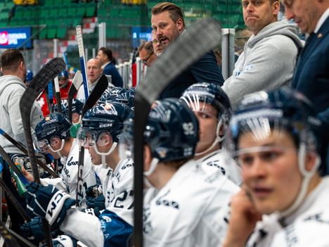 Asiantuntija Topi Nättinen teki valintansa: Tässä on Leijonien MM-kilpailujen joukkue 1