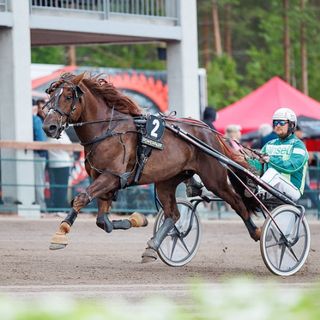 Francis Goodland ennakkosuosikkina maakunnan mestaruuskilpailuissa 3