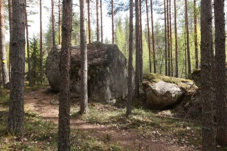 Hallitus vähensi 154 työpaikkaa puunhakkuulla – selvitäksesi, mistä puut poistuvat. 1