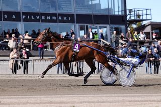 Harrastajavoittaja haastaa ammattilaisjoukkueet 7
