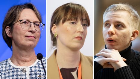 Heinäluomalle annetaan palautetta taivaspaikoista 1