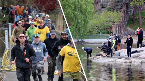 Helsingin Kalamaraton päättyi 29 kalalajin voimin – mukana erityisen suuria pikkukaloja 2 Helsingin Kalamaraton päättyi 29 kalalajin voimin – mukana erityisen suuria pikkukaloja 1