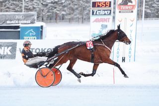 Huisi Hippu vaatii korvausta harakoilta kuluneesta kesäkaudesta. 7