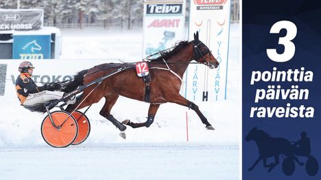 Impresario on saavuttanut voiton jo 13 kertaa. 1