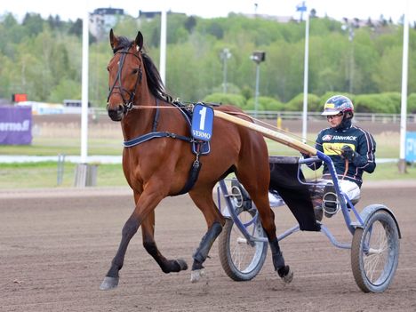 Janne Korven Kinglet Bird voitti merkittävän kilpailun ja teki suomalaista ravihistoriaa. 6 Janne Korven Kinglet Bird voitti merkittävän kilpailun ja teki suomalaista ravihistoriaa. 5