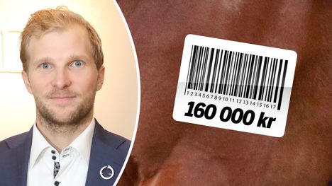 Janne Korven Kinglet Bird voitti merkittävän kilpailun ja teki suomalaista ravihistoriaa. 2 Janne Korven Kinglet Bird voitti merkittävän kilpailun ja teki suomalaista ravihistoriaa. 1