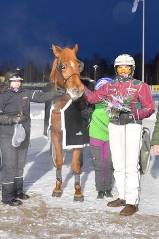 Japiro Queenilla on potentiaalia nousta Suomen tammaeliittiin. 5