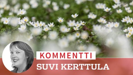 Kaunis hetki jää taakse 1