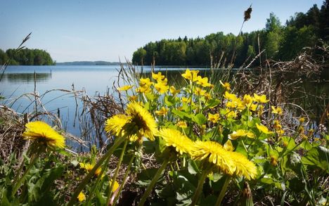 Kesäinen sää tukee valmistujaisjuhlia – lämpötila kohoaa 22 asteeseen ja sateet väistyvät. 1