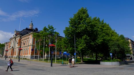 Kuopion nuoret skinheadit ottavat kantaa 1