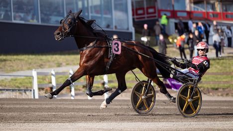 Lightning Stride ei päässyt finaaliin Ruotsissa 1