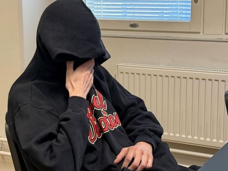 Malminkartanon vanhussurman hämmästyttävät tiedot paljastuvat: 26-vuotias epäilty murhaaja tallensi teon videolle. 5
