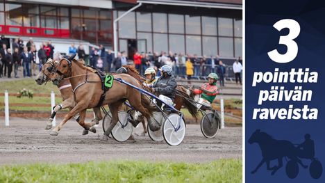 Mistä on kyse? Vauhdikas hevoskilpailu Etelä-Karjalassa 1