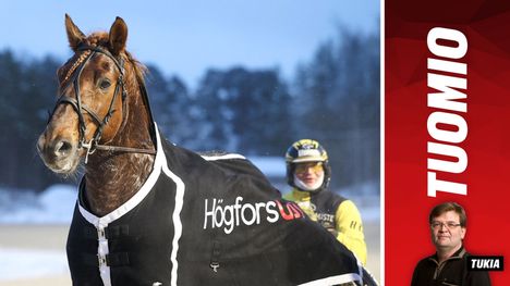 Onko ravikuninkaan päävastustaja naapurikarsinassa? 1