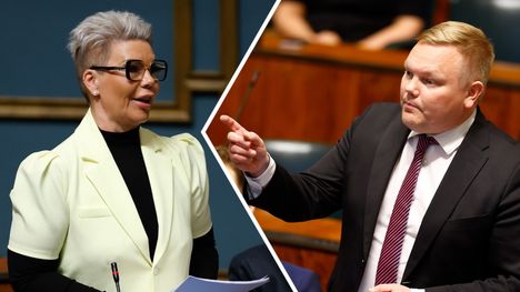 Paula Werning kumoaa Antti Kurvisen taloudelliset arvostelut. 1
