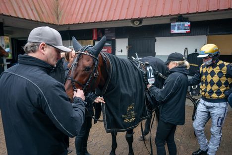 Prix d'Amériquen avauskilpailun voitosta käytiin tiukka taistelu. 2 Prix d'Amériquen avauskilpailun voitosta käytiin tiukka taistelu. 1
