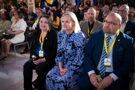 Purralta rehellinen arvio Antti Lindtmanista 3