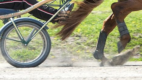 Raveissa voimakas yhteenotto – raipalla kasvoihin 2 Raveissa voimakas yhteenotto – raipalla kasvoihin 1