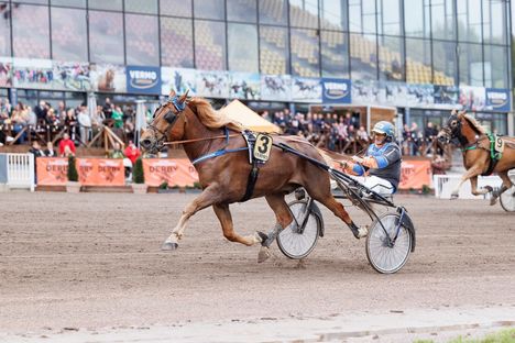 Ravien huippulahjakkuus on viimein voittanut haasteensa – ”Leikkauksessa meni kaikki pieleen” 5