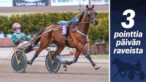 Ray Boy saattaa nousta voittojen kärkeen ensi talvena. 1