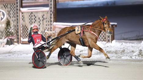 Santtu Raitalan Jockas Rita voitti Tammaderbyn. 1