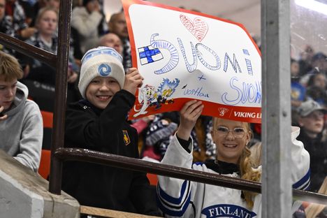 Sasha Huttusen lausunto: Epäsuotuisa päivä, Leijonat! Suomen ottelun katsojamäärä oli yllättävä. 3