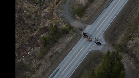 Sonnit pakenevat Juupajoella – näky kuin Seitsemästä veljeksestä 4 Sonnit pakenevat Juupajoella – näky kuin Seitsemästä veljeksestä 3