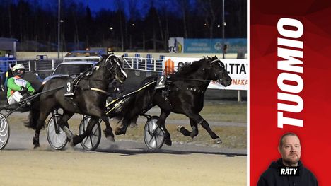 Sunrise Fria sai 12 000 euroa cup-finaalin voitosta. 2 Sunrise Fria sai 12 000 euroa cup-finaalin voitosta. 1