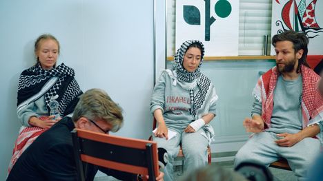 Suomalaiset aktivistit: Kokemuksia väkivallasta ja seksuaalisesta väkivallasta – ”Kuin suoraan kauhuelokuvasta” 1