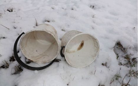 Syytös: 61-vuotias mies surmasi veljensä Ilomantsissa ja heitti tuhkat jokeen. 8 Syytös: 61-vuotias mies surmasi veljensä Ilomantsissa ja heitti tuhkat jokeen. 7