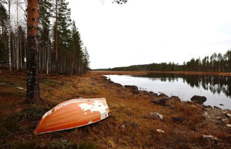 Syytös: 61-vuotias mies surmasi veljensä Ilomantsissa ja heitti tuhkat jokeen. 4 Syytös: 61-vuotias mies surmasi veljensä Ilomantsissa ja heitti tuhkat jokeen. 3