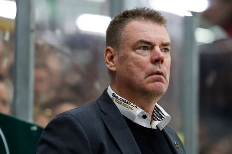 Timo Jutila kommentoi Leijonat-keskustelua: ”Ei pidä paikkaansa” 5