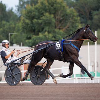Vauhtis tekee paluun pitkän tauon jälkeen Mikkelin T75-raveissa. 3