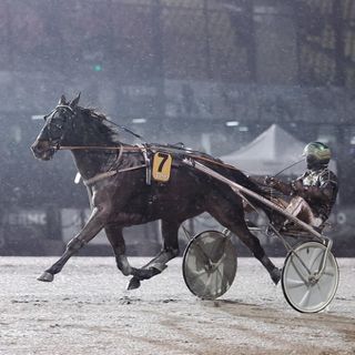 Vermossa kymppitonnin palkinto Kuuma-cupin mestarille 3