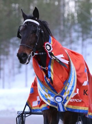 Viime talven menestyjä Siirin Farssi ei todennäköisesti ole parhaimmillaan heti. 4