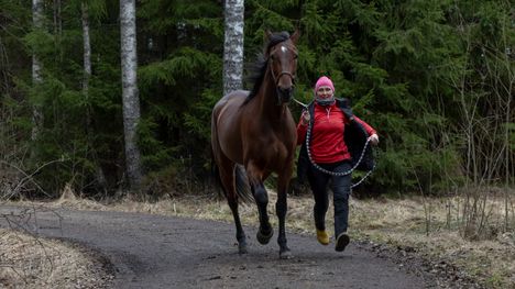 Viime talven tähti palaa jälleen – ”Miksi ei voisi vielä hieman edistyä” 2 Viime talven tähti palaa jälleen – ”Miksi ei voisi vielä hieman edistyä” 1