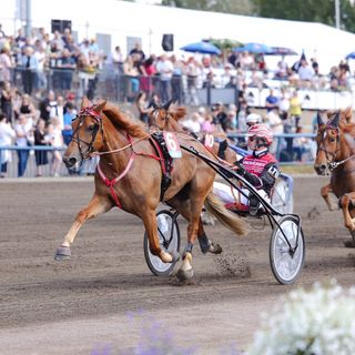 Välipäivien pääkilpailut järjestetään Kuopiossa. 5