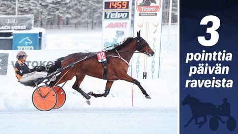 Voittokas Impresario ei heikennä valmentajan luottamusta 1