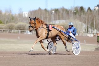 Voittorohmu Impresarion ohjastaja vaihtuu yllättäen huipputurnauksessa. 3