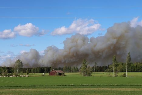 Yle: Etelä-Suomen hajun alkuperä paljastui 3