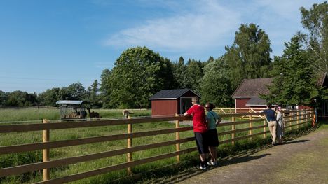 Alkoholin myynti Haltialan tilalla on päättynyt uuden omistajuuden myötä. 2 Alkoholin myynti Haltialan tilalla on päättynyt uuden omistajuuden myötä. 1