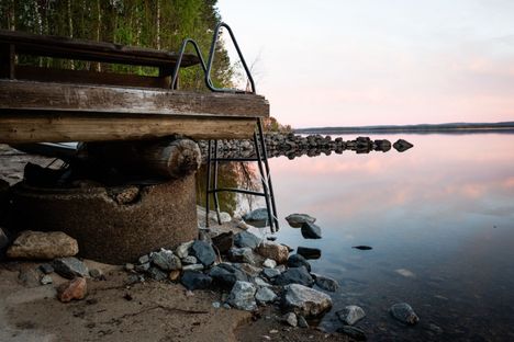 Asiantuntija: Täällä hyttysiä on tällä hetkellä eniten 1