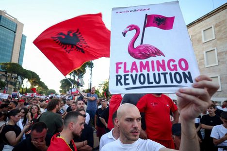 "Flamingo-ilmiö levisi Suomeen" 9