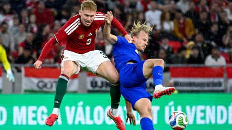 Huuhkajille vähäinen häviö 1
