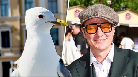 Jaajo Linnonmaan lokintorjuntajärjestelmän yksityiskohdat – korkea kustannus 1