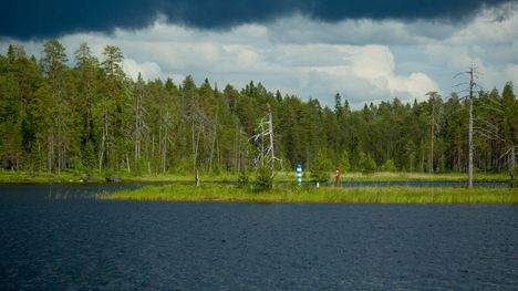 Kaksi ulkomaalaista ylitti rajan laittomasti Venäjältä Suomeen Ilomantsin alueella. 1